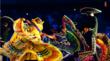Opening Ceremony of the Guadalajara 2011 Pan American Games Receives...